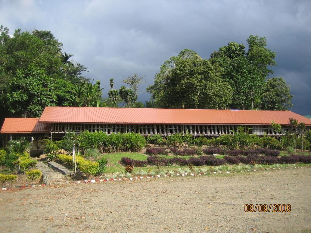 Sabah Tea Garden-Longhouses Ranau Ngoại thất bức ảnh