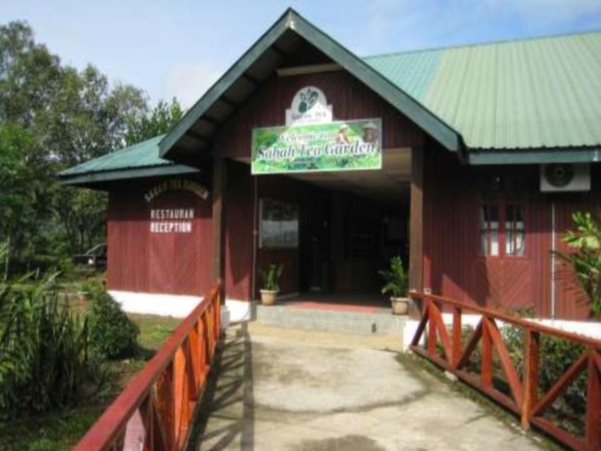 Sabah Tea Garden-Longhouses Ranau Ngoại thất bức ảnh