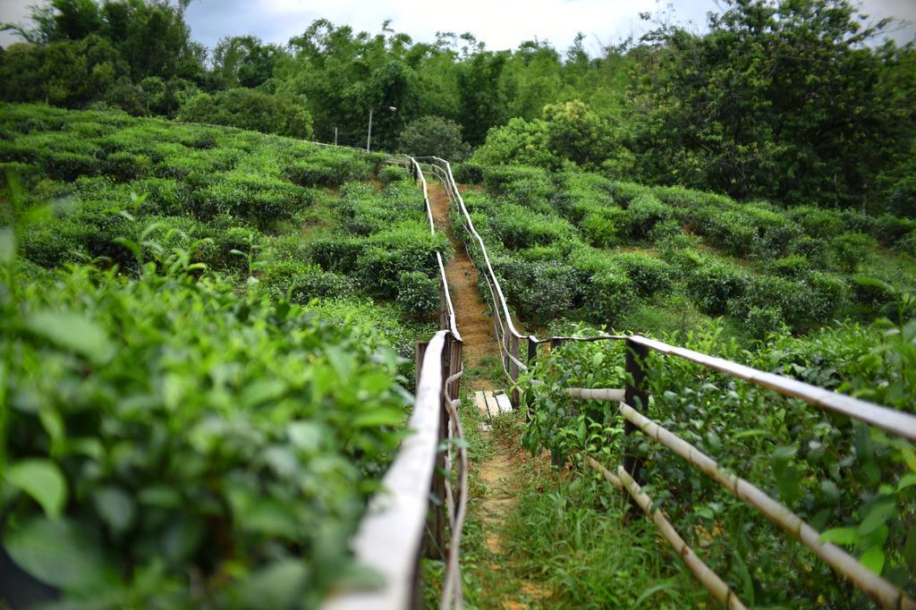 Sabah Tea Garden-Longhouses Ranau Ngoại thất bức ảnh