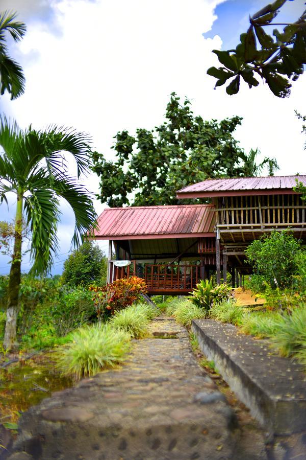 Sabah Tea Garden-Longhouses Ranau Ngoại thất bức ảnh