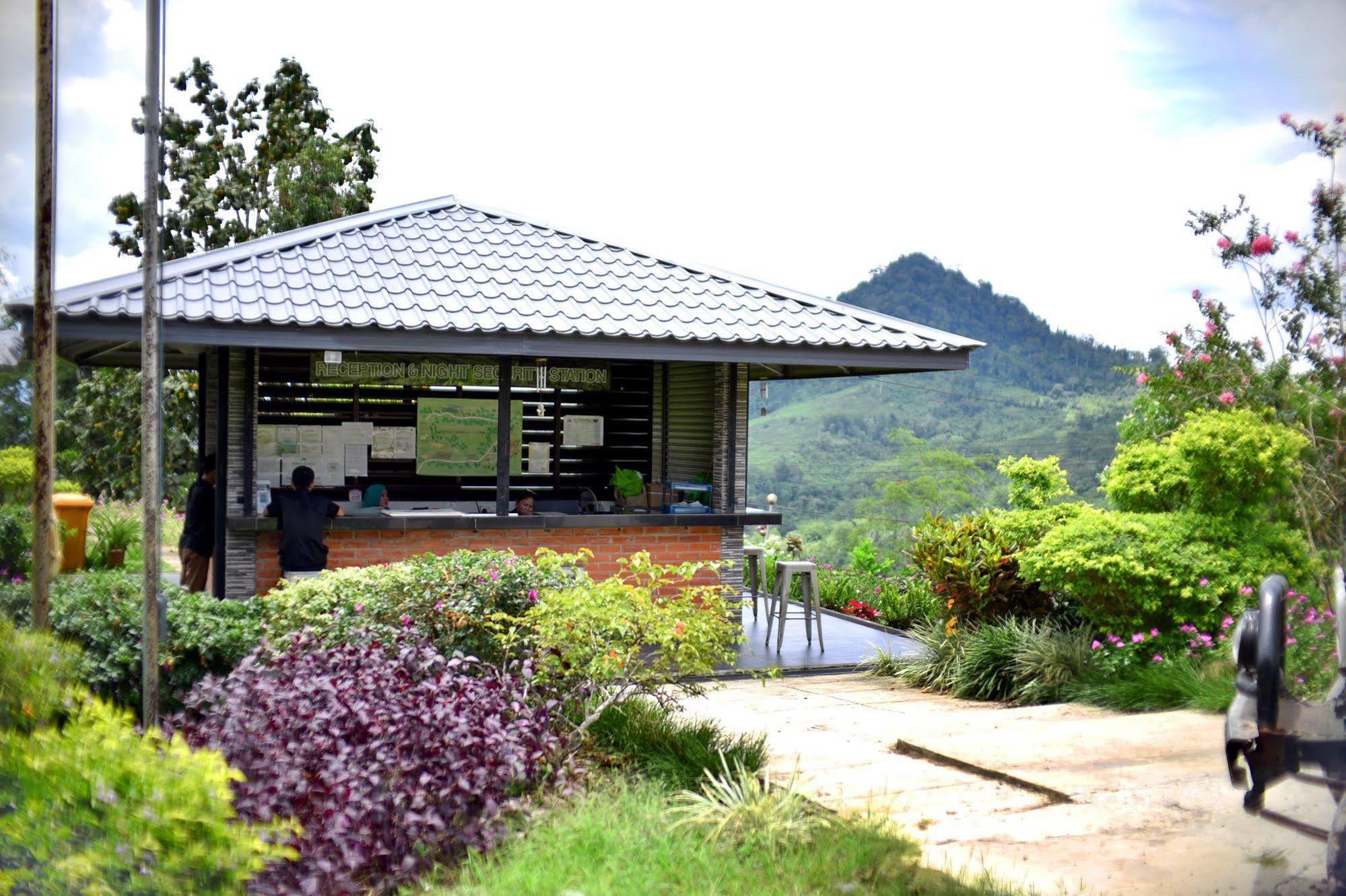 Sabah Tea Garden-Longhouses Ranau Ngoại thất bức ảnh